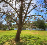 Breakaway Twin Rivers Caravan Park - Tourism Adelaide