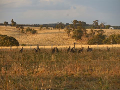 Bunjil Farm - Tourism Adelaide 8