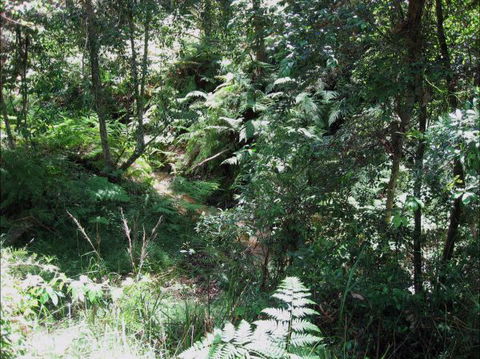 Dunns Creek Downs Nature Stay - Tourism Adelaide 2