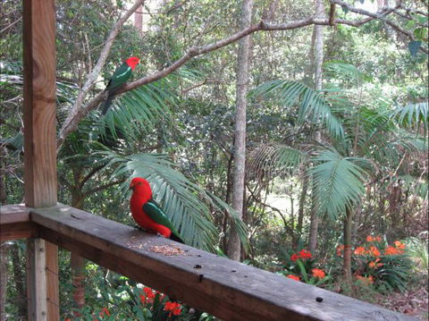 Dunns Creek Downs Nature Stay - Tourism Adelaide 4