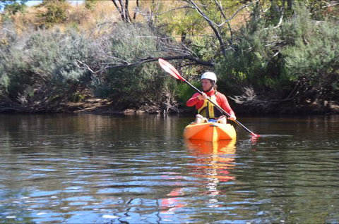 Hawthorn Lodge - Tourism Adelaide 8