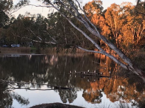 Jaycee Island - Tourism Adelaide 0