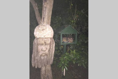 Kookaburra Retreat - Tourism Adelaide 9