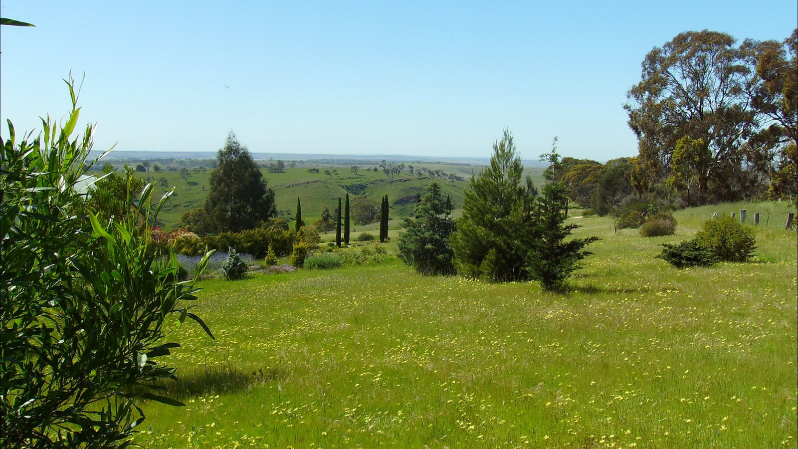 Dawesley SA Tourism Adelaide