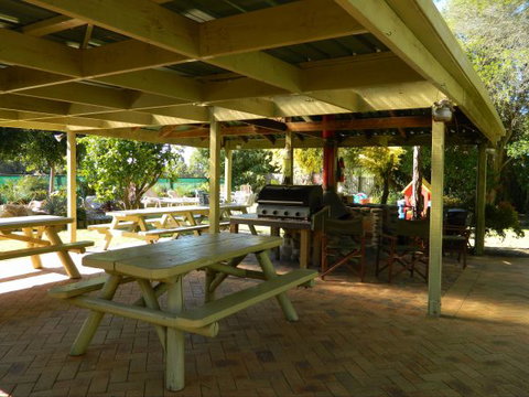 Melaleuca Grove Holiday Units & Motor Inn - Tourism Adelaide 4