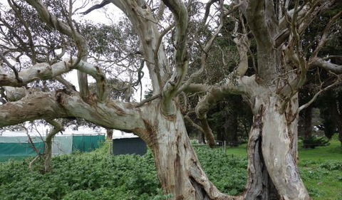 Morella Farm Stay - Tourism Adelaide 10