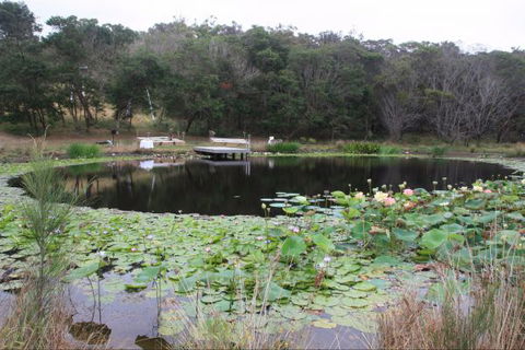 Murrah Luxury Holiday Accommodation - Tourism Adelaide 8