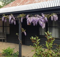 The Gold House - Tourism Adelaide