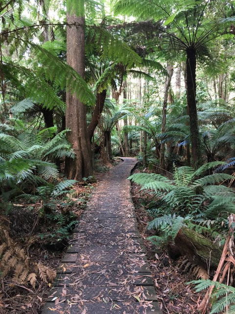 Woodland Mirth Holiday Retreat - Tourism Adelaide 8