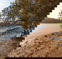 Beach campground - Tourism Adelaide