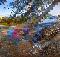 Benarca campground - Tourism Adelaide