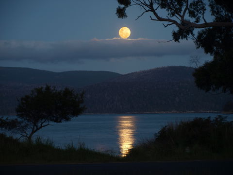 Burilda Waters - Tourism Adelaide 4