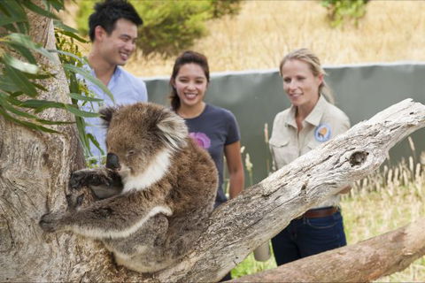 Great Ocean Ecolodge - Tourism Adelaide 1