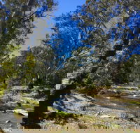Highfield Farm and Woodland Bush Campsites - Tourism Adelaide