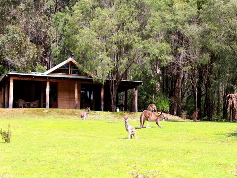 Marima Cottages - Tourism Adelaide 1