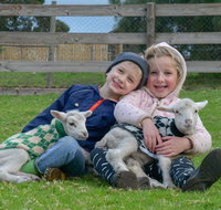 Narnu  Farm Farm stay/ School Camp - Tourism Adelaide