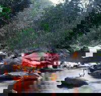 nightfall  camp - Tourism Adelaide