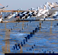 Pelican Perch Retreat - Tourism Adelaide