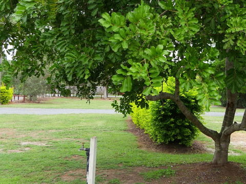 Secura Lifestyle North Gold Coast - Tourism Adelaide 8