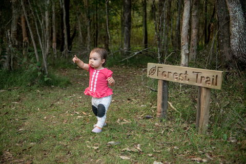 Telegraph Retreat Cottages - Tourism Adelaide 4