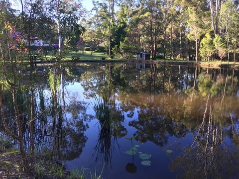 Telegraph Retreat Cottages - Tourism Adelaide 8