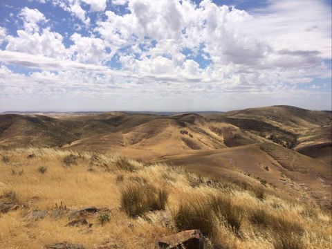 Wilkatana Station - Tourism Adelaide 4