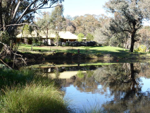 Wildwood Guesthouse - Tourism Adelaide 3
