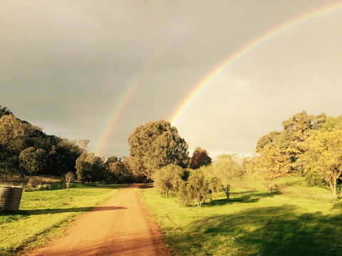 Wildwood Guesthouse - Tourism Adelaide 4