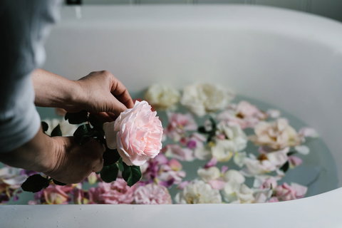 Acre Of Roses - Tourism Adelaide 5