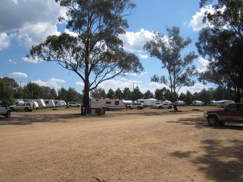Ariah Park Camping Ground - Tourism Adelaide 4