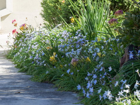 Austin Rise B&B - Tourism Adelaide 2