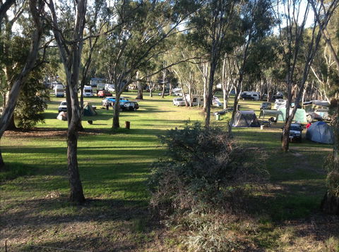 Deniliquin Riverside Caravan Park - Tourism Adelaide 2