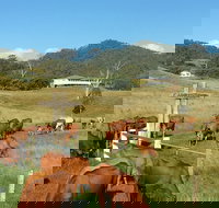 Farringdon Homestead - Tourism Adelaide