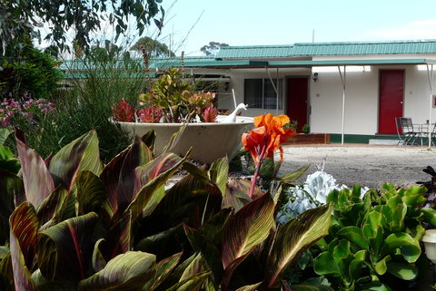 Glenrowan Kelly Country Motel - Tourism Adelaide 5