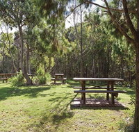 Illaroo group camping area - Tourism Adelaide