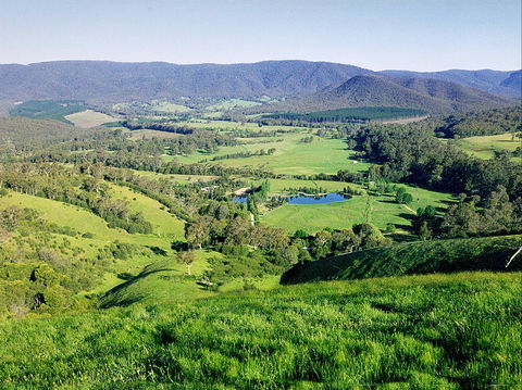 Kingbilli - Tourism Adelaide 1