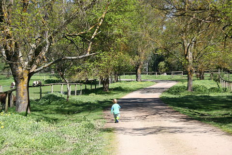 Kingbilli - Tourism Adelaide 3