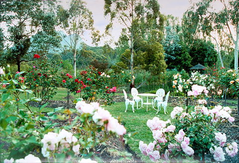 Kingbilli - Tourism Adelaide 4