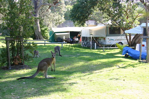 Lakesea Park - Tourism Adelaide 5
