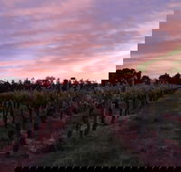 Milawa Vineyard Views - Tourism Adelaide