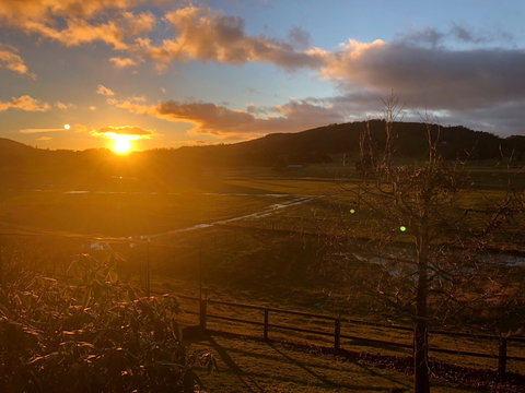 Mole Creek Hideaway - Tourism Adelaide 1