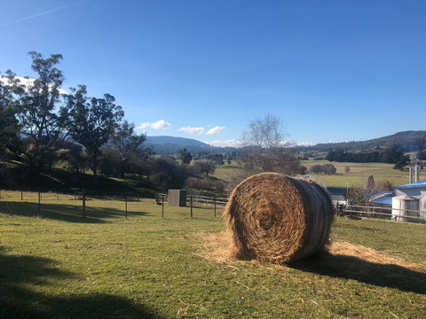 Mole Creek Hideaway - Tourism Adelaide 4