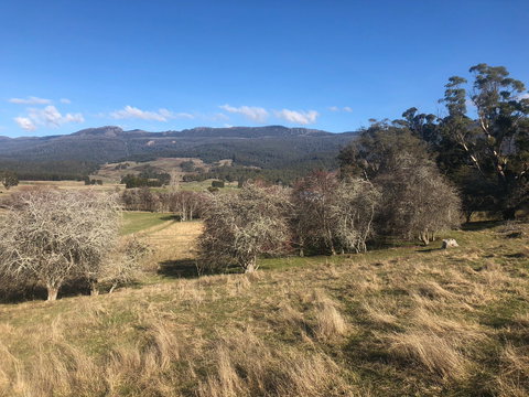 Mole Creek Hideaway - Tourism Adelaide 5