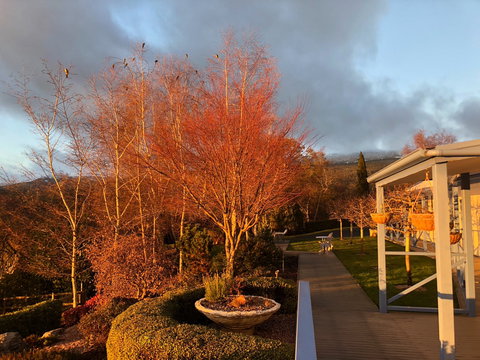 Mole Creek Hideaway - Tourism Adelaide 6