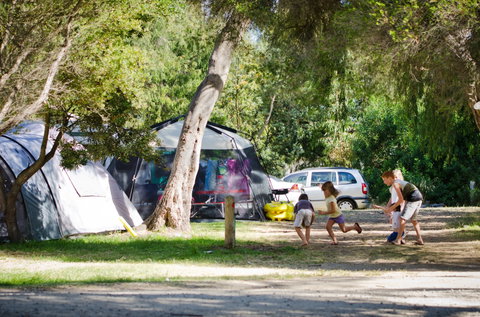 Rosebud Foreshore Camping - Tourism Adelaide 2
