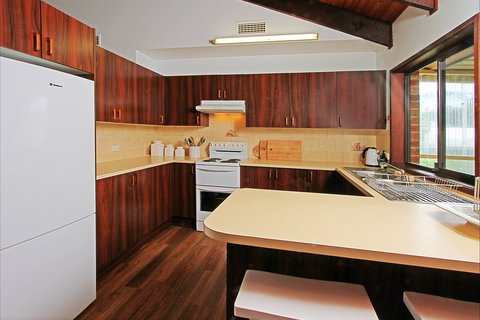 Sea Bird - Tourism Adelaide 2