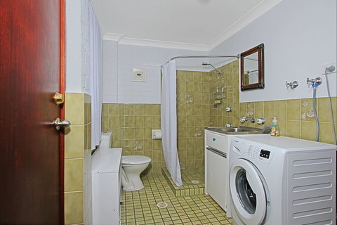 Sea Bird - Tourism Adelaide 3