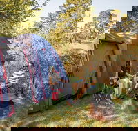 Village campground - Tourism Adelaide