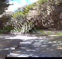 3 Mile Bend Campground - Beachport Conservation Park - Tourism Adelaide