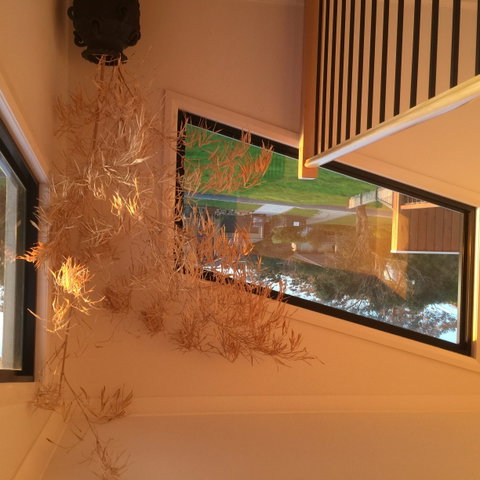 Barefoot Beach Stays - Tourism Adelaide 1